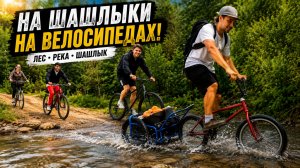 Можно ли поехать на велосипеде за шашлыками? Натуральные звуки, эмоции, чувства и вкусы.