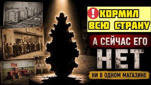 Овощ №1 в СССР - почему его больше нет? От правды вы будете в шоке.