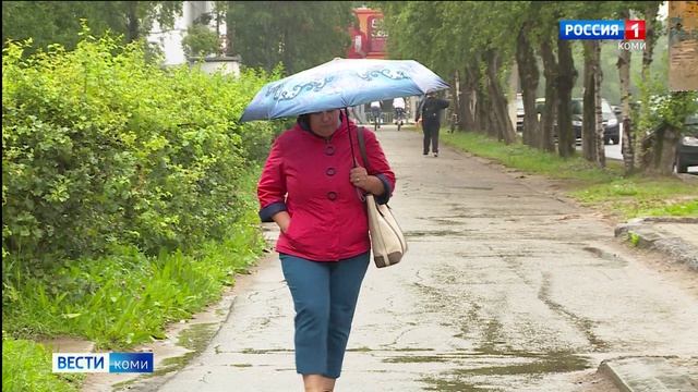В выходные на юге Коми столбики термометров достигнут 30 градусной отметки