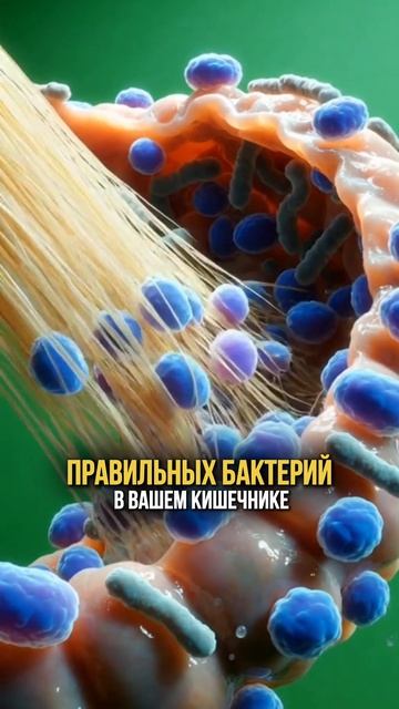 Продукты против вздутия смотреть онлайн