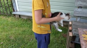 Котёнок появился у соседей🙀.Как вам,понравился?