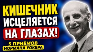 ЗАПОМНИТЕ! Слизистая восстанавливается, кишечник очищается: 5 приёмов Нормана Уокера