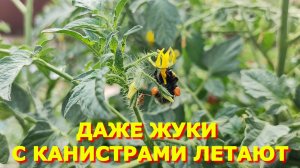 146. Каждый день прилетает как на работу