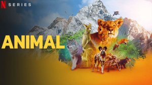 Удивительные животные - 1 сезон 4 серия (2021) / Animal