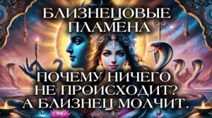 БЛИЗНЕЦОВЫЕ ПЛАМЕНА. ПОЧЕМУ НИЧЕГО НЕ ПРОИСХОДИТ?