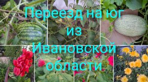 16-07-2026/ Эксперементирую🫠/ Садово огородные дела/ Живём и работаем на Кубани/ Переезд на юг/