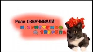 Котинет 2003-2024г.г