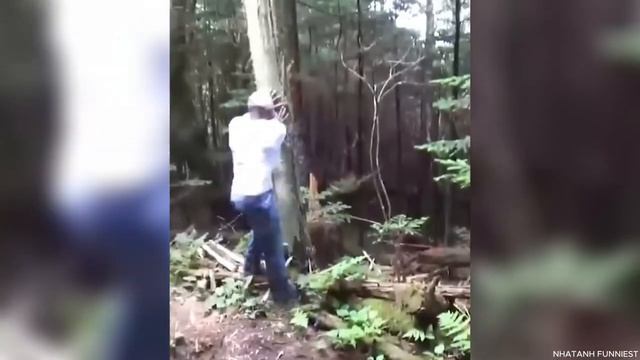Постарайтесь не засмеяться Подборка лучших смешных видео Неудачи, розыгрыши и смешные моменты 29