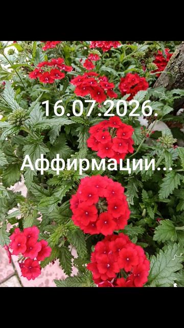 Девиз дня;✨16.07.2026. Актуально хобби... Просветления... #разум #чувства #душа #дела