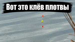 Вот это рыбалка, плотва одна за одной. Топ видео 2026 по плотве #топ #33карася