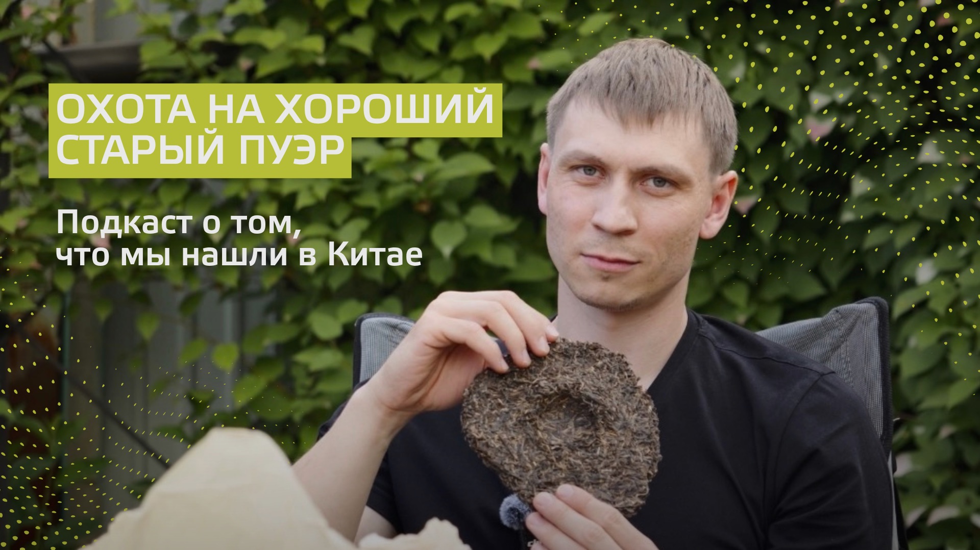 Хороший старый пуэр ещё существует, но найти его всё сложнее 🍵
