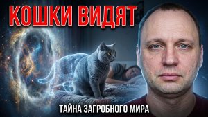 Кошки - не те, кем кажутся | Они ходят в загробный мир, пока ты спишь