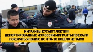 МИГРАНТЫ КУСАЮТ ЛОКТИ!!! ДЕПОРТИРОВАННЫЕ ИЗ РОССИИ МИГРАНТЫ ПОЕХАЛИ ПОКОРЯТЬ ЯПОНИЮ НО ЧТО-ТО ПОШЛО