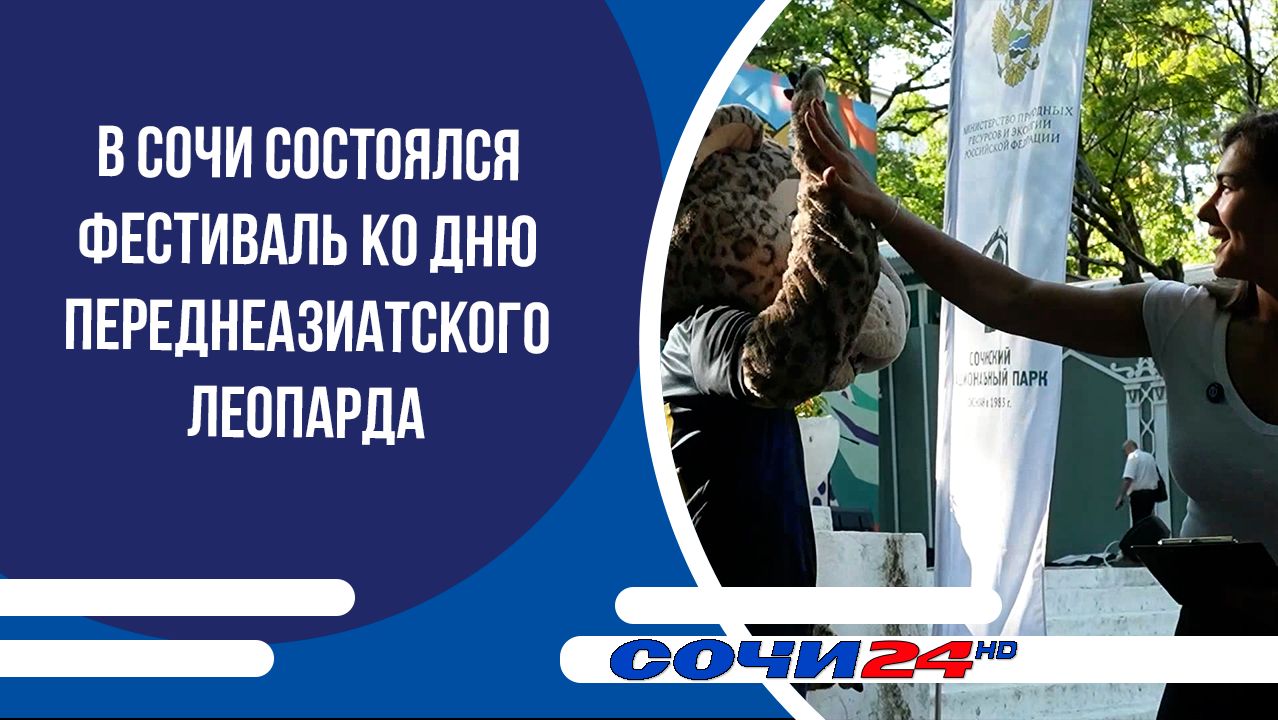 В Сочи состоялся фестиваль ко дню переднеазиатского леопарда смотреть онлайн