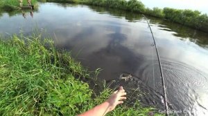ломают тычки и рвут снасти. Супер клев на Сибирских реках