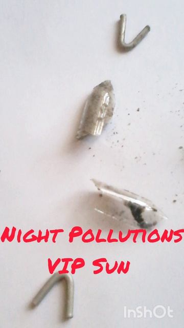 Night Pollutions VIP Sun shorts