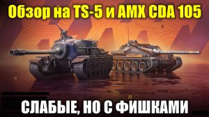 Обзор на TS-5 и AMX CDA 105 - Малоэффективные ПТ-САУ но со своими фишками #tanksblitz
