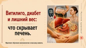 Витилиго, диабет и лишний вес: что скрывает печень. Фрагмент обучения кинезиологии и массажу живота.