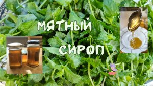 Мятный сироп. Для десертов, выпечки, коктейлей и не только.