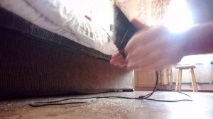 Сколько мусора накапливается в клавиатуре за год?