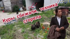 Повышение напряжения в сети, вышла из строя техника.Целый день без света.