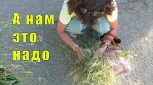 НАМ ВСЕ НАДО / СЛОЖНЫЙ ДИАГНОЗ  /  с 10 по 11 июля 2026