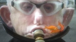 Тупым тут не место!
