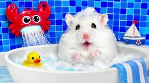 ХОМЯК В VIP ЛАБИРИНТЕ! 🐹 Сложный побег из роскошной ванны с питомцами Видео детям