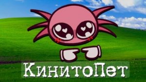Новый в ладелец канала