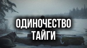 Одиночество тайги | лесные истории и рассказы
