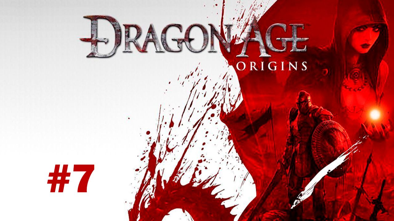 Dragon Age Origins
