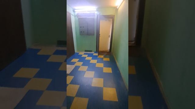 Сдам квартиру у метро Звездная 5пеш,Дунайский пр.26/77 за 30000 руб + ку смотреть онлайн