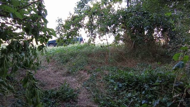 VID_20260715_182348