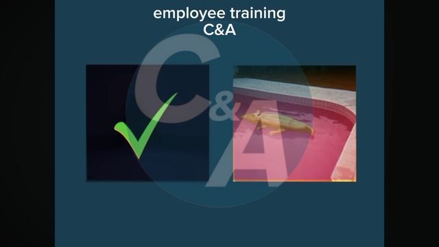 employee training C&A 1997 смотреть онлайн