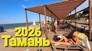 #Тамань 2026 Что происходит на пляже? Краткий обзор Мазут Медузы