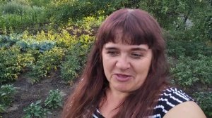 Истории из жизни_ Огуречные воры атакуют _ Купила, оплатила, поболтала и забыла