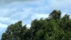 Сильные порывы ветра в тылу холодного фронта в городе Вязники 16.07.2026