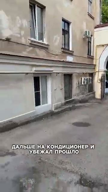 Мой кот вышел в окно😔 Продолжение в комментариях ⤵️