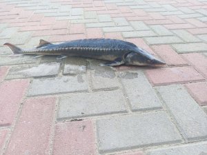 обсуждение