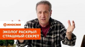 «У деревьев есть доступ в интернет». Эколог раскрыл страшный секрет