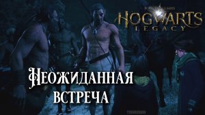 Неожиданная встреча. Hogwarts Legacy прохождение. Surprise Meeting
