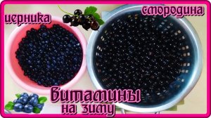 готовимся к зиме СМОРОДИНА и ЧЕРНИКА лучний рецепт сохранения витаминов