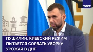 Пушилин: киевский режим пытается сорвать уборку урожая в ДНР