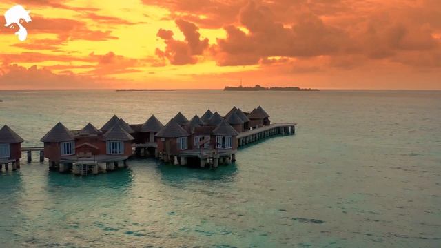 Summer Grooves _ Elegant Deep House Mix ' [2026] смотреть онлайн