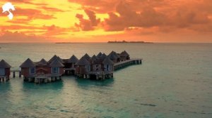 Summer Grooves _ Elegant Deep House Mix ' [2026]