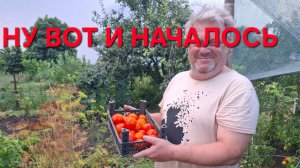 1359 Ну вот и Началось. Болели болели а собирать начали. Городские в Станице.