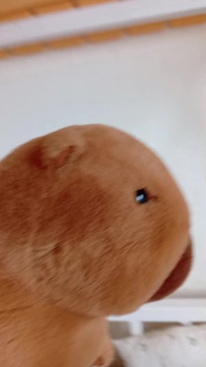 блокнотик чек