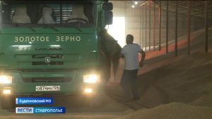 Хлебный каравай Ставрополья продолжает набирать вес