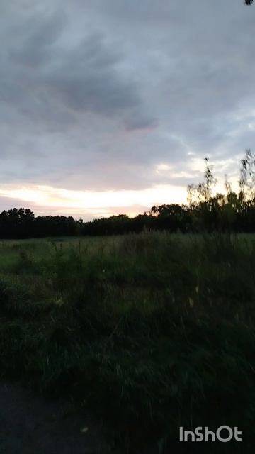 Очаг дома