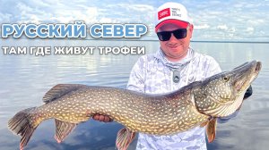 УЕХАЛИ ТУДА, ГДЕ ВОЛКИ СПАТЬ БОЯТСЯ! ТРОФЕЙНАЯ РЫБАЛКА НА СЕВЕРЕ